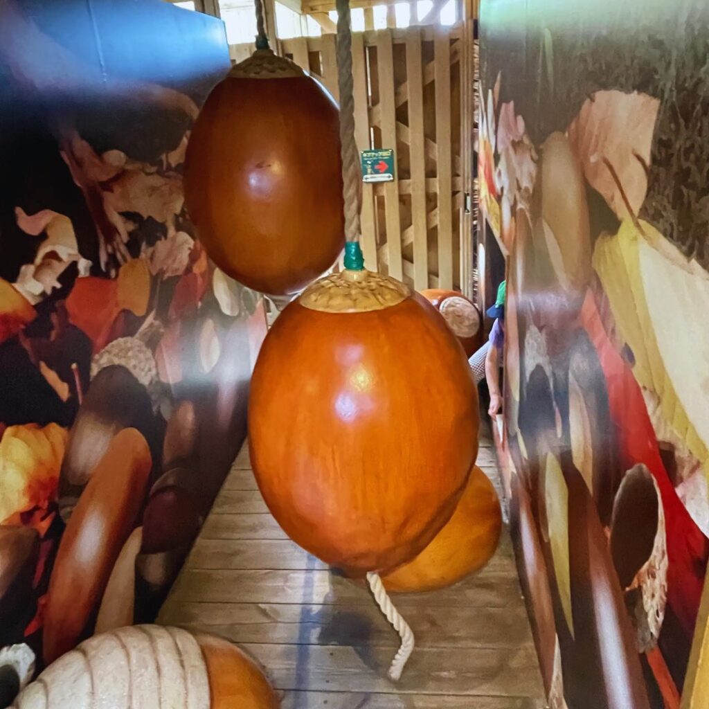 モビリティリゾートもてぎパーク内ITADAKI