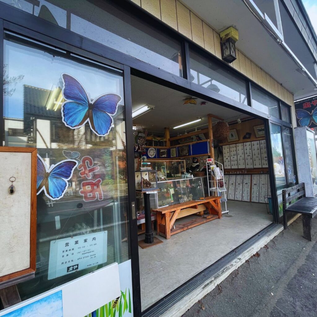 ましこ工房虫や