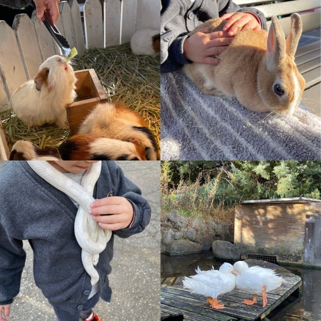 那須ハイランドパークアトラクション