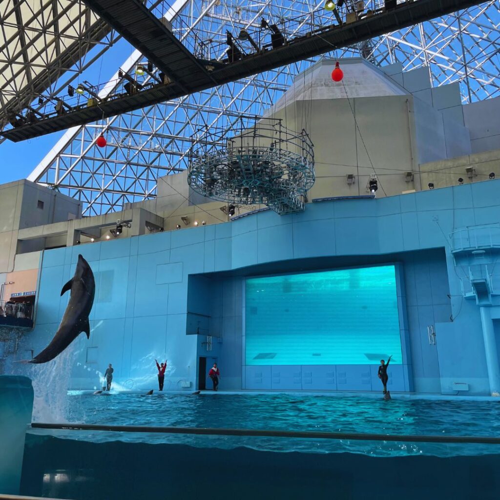 八景島シーパラダイスショー