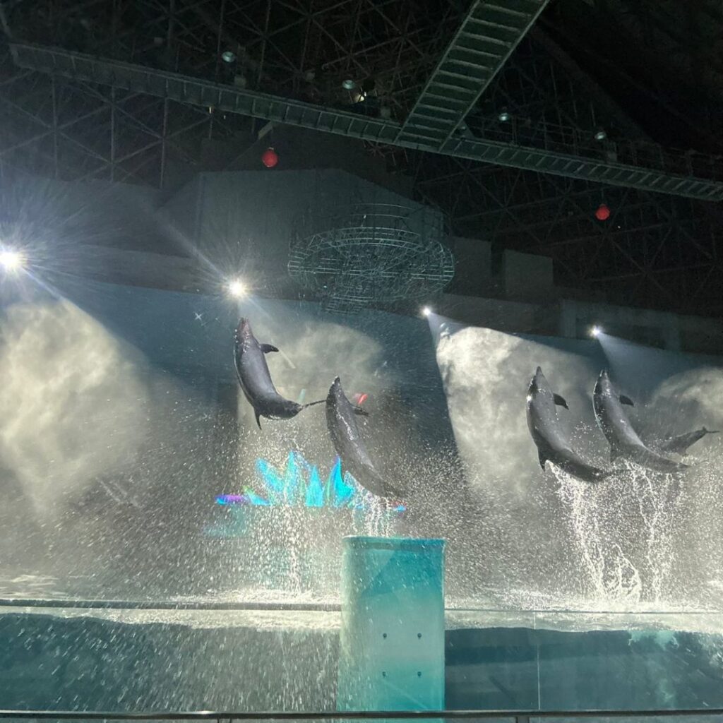 八景島シーパラダイスナイトショー