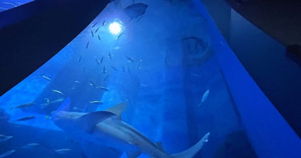 八景島シーパラダイス