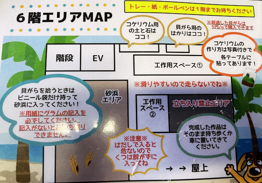 6階エリアマップ